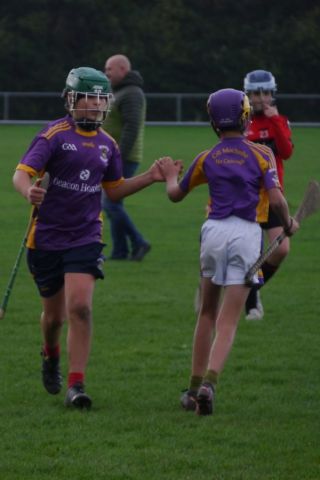 U12 Hurling League Div.11 vs. Trinity Gaels