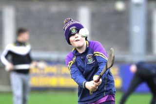 Senior Hurlers through to Leinster Semi Final