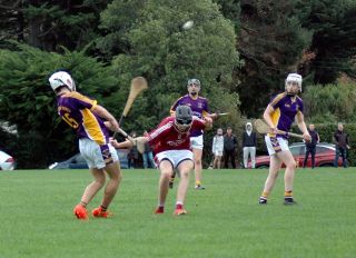 U17B HURLERS FOLLOW UP GROUP WIN WITH QUARTER FINAL WIN OVER RAHENY