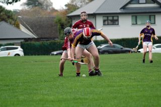 U17B HURLERS FOLLOW UP GROUP WIN WITH QUARTER FINAL WIN OVER RAHENY