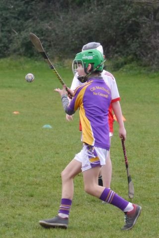 U10 Hurling Gp.1Z  vs St Brigids
