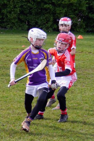 U10 Hurling Gp.1Z  vs St Brigids