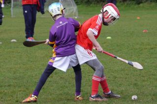 U10 Hurling Gp.1Z  vs St Brigids