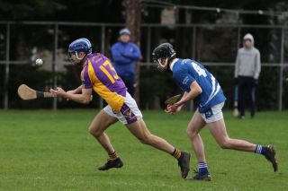 Adult Hurling League Division Four vs Skerries Harps