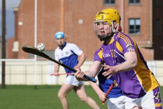Adult Hurling League Division 7 vs St Kevins