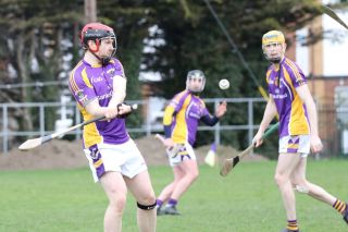 Adult Hurling League Division 7 vs St Kevins