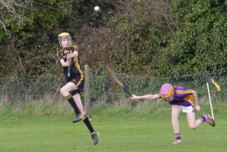 KC3 (2010 group) Hurling vs Wild Geese