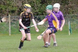 KC3 (2010 group) Hurling vs Wild Geese