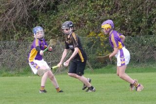 KC3 (2010 group) Hurling vs Wild Geese