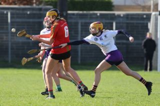 Leinster Club League Division 2 Group B vs St Martins