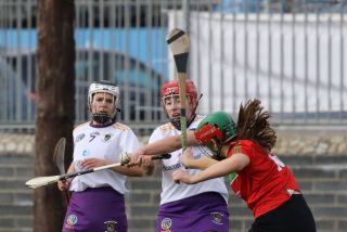 Leinster Club League Division 2 Group B vs St Martins