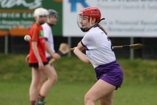 Leinster Club League Division 2 Group B vs St Martins