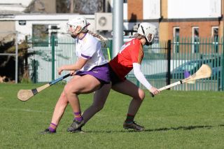 Leinster Club League Division 2 Group B vs St Martins