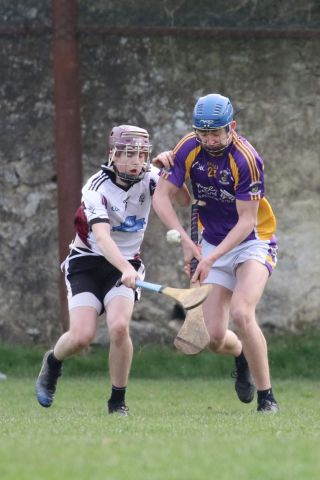 Minor Hurling League Div.4 vs Good Counsel Liffey Gaels