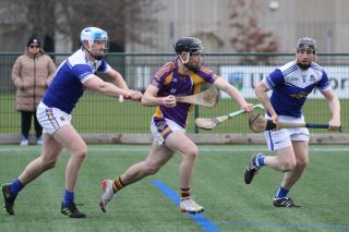 ADULT HURLING LEAGUE DIVISION FOUR Versus KEVINS