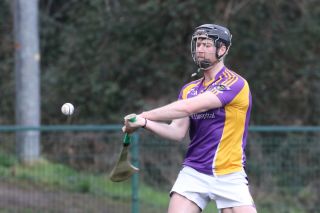 ADULT HURLING LEAGUE DIVISION FOUR Versus KEVINS