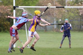 Adult Hurling League Division Seven vs Naomh Olafs