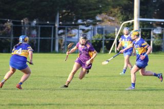 Camogie Senior 1 League vs Castleknock