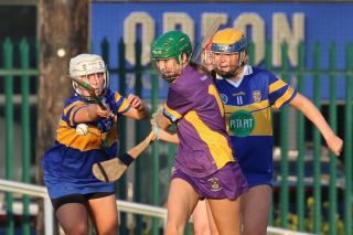 Camogie Senior 1 League vs Castleknock