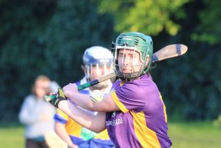 Camogie Senior 1 League vs Castleknock