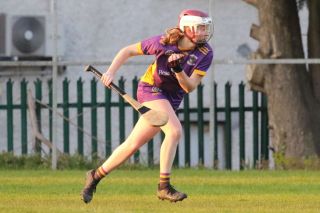 Camogie Senior 1 League vs Castleknock