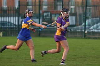 Camogie Senior 1 League vs Castleknock