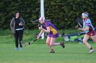 Camogie Inter 2 League vs Naomh Olafs