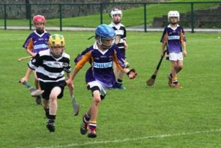 2012-08-25 KC Clonmel Hurling Blitz 021