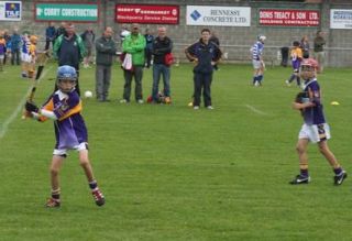 2012-09-15 KC Kilkenny Hurling Blitz 012