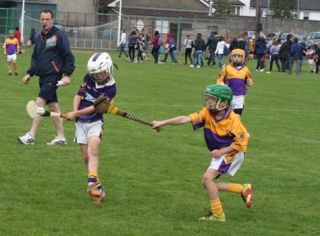 2012-09-15 KC Kilkenny Hurling Blitz 055