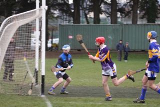 2013_02_24_56772w_goal