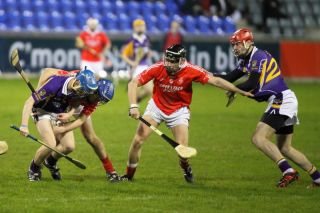 2013_0501_SHC_Brigids121w