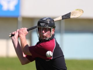 2013_06_09_66108AHL1_CrCrnw