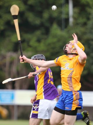 2013_07_21_71580AHL1_NaFiannaW