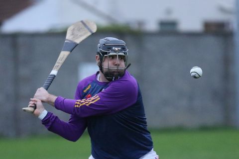 Adult Hurling League Division Seven vs St Brendans