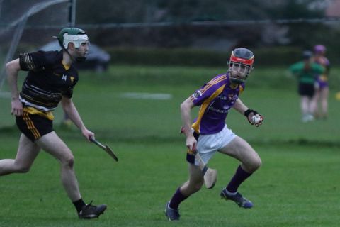 Adult Hurling League Division Seven vs St Brendans