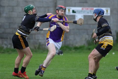 Adult Hurling League Division Seven vs St Brendans