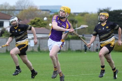 Adult Hurling League Division Seven vs St Brendans