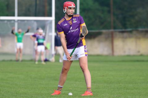 Adult Hurling League Division Three vs Bray Emmets