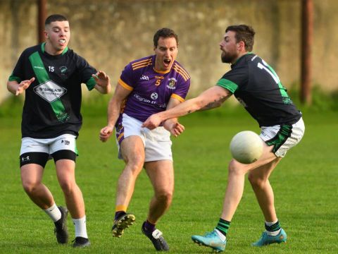 Go Ahead Adult Football League Division Eight  Kilmacud Crokes Versus Parnells 