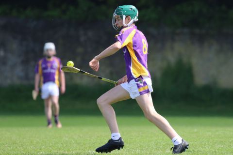 U14 Hurling D Phase One Gp.A vs Lucan Sarsfields B