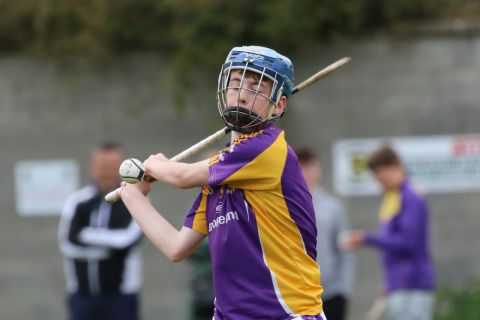 U15 Hurling Feile Div.8 vs Lucan Sarsfields