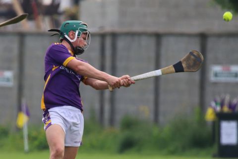 Minor Hurling League Division One vs St Vincents