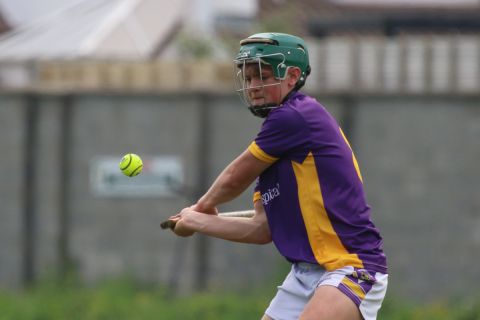 Minor Hurling League Division One vs St Vincents