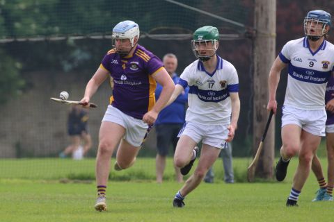 Minor Hurling League Division One vs St Vincents