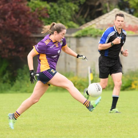 Ladies Football Go-Ahead Adult League Division 1  Kilmacud Crokes V Thomas Davis 