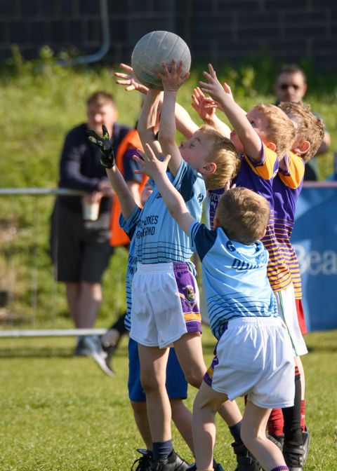 Week 1 of the Mini All Irelands 2023 