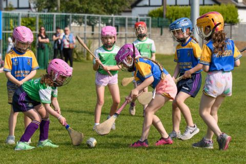 Week 2 of the Mini All Irelands - Camogie 