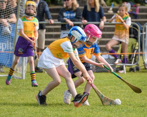 Week 2 of the Mini All Irelands - Camogie 