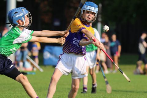 Photographs of Week 3 of the Mini All Irelands - Hurling